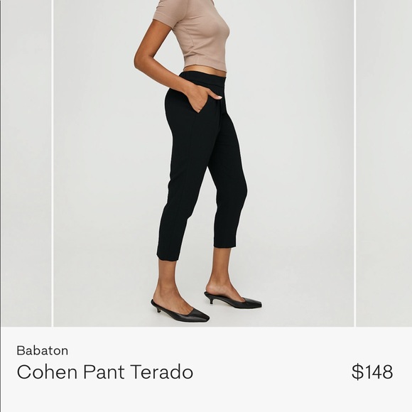 Aritzia Babaton Cohen Pant - Picture 4 of 4